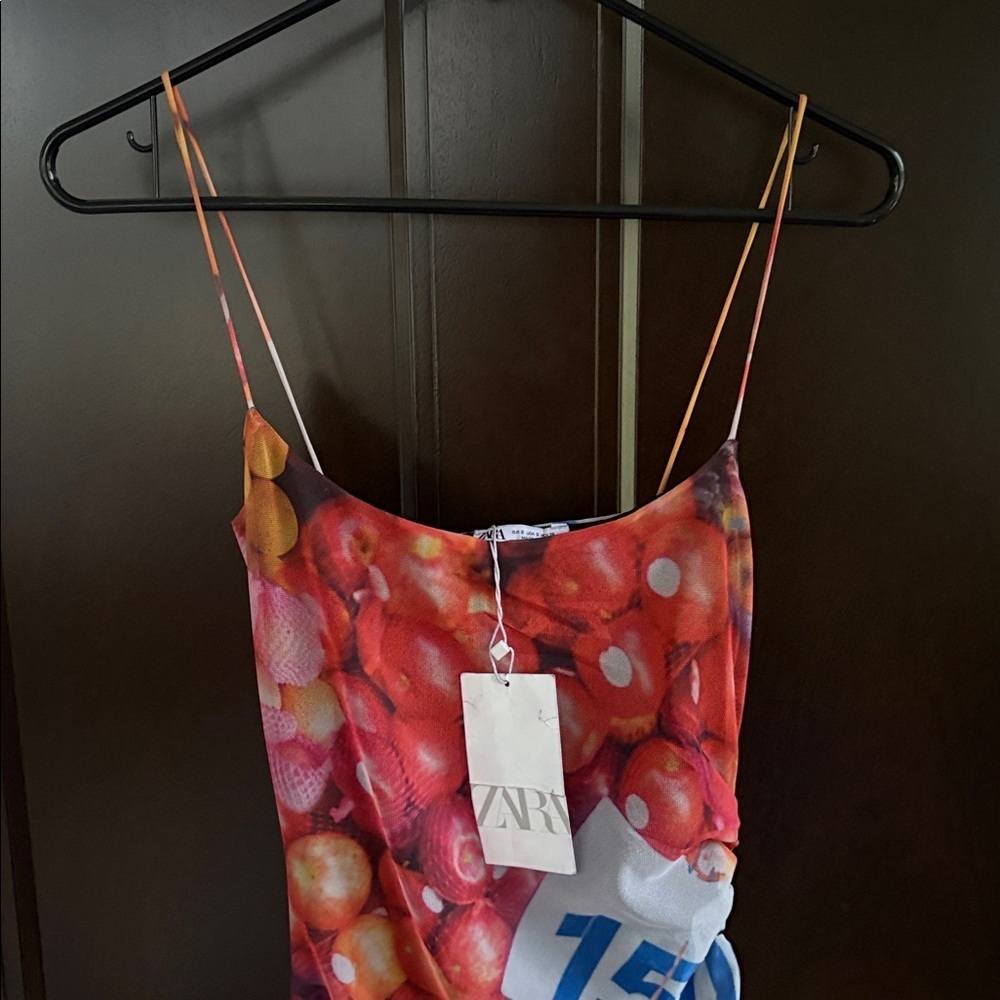 NWT Zara Fruit Stand Mesh Midi /Maxi Dress Size Small - Picture 5 of 12
